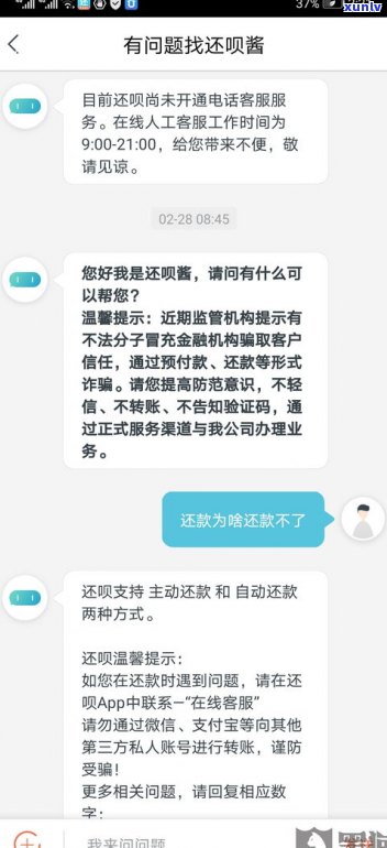 能否通过客服电话申请延期还款？