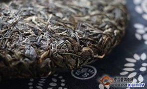 烤过的普洱茶生茶还能泡吗？是否有毒，能否饮用及原因探讨