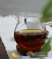 古茶普洱茶哪个好-古茶普洱茶哪个好喝