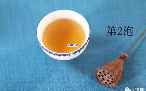 深入探索普洱茶古树口感：独特韵味与品尝技巧