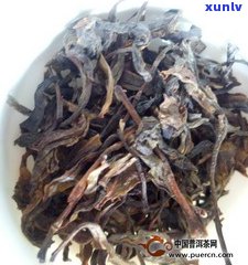 普洱紫鹃茶大概价位是多少？口感与特点如何？