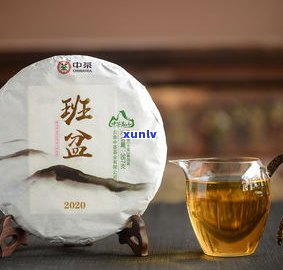 中茶普洱茶哪款最好？口感、品质、性价比全方位解析！