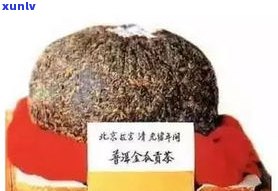 壹福茶普洱茶价格查询：多少钱一斤/瓶？壹茶壹品价格如何？