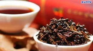 2004年普洱生茶价格表：当年生普洱价值几何？