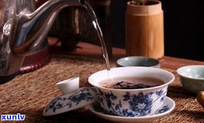 普洱茶怎么用茶针：冲泡、保存与选择