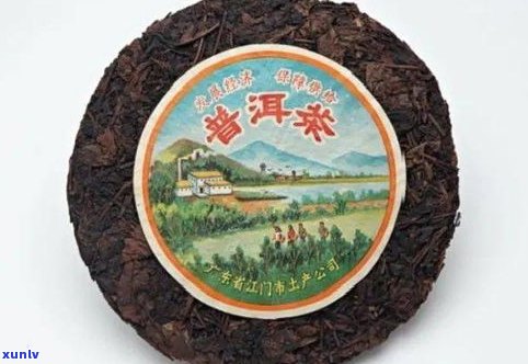 明代普洱茶的制茶工艺及其特点与流程