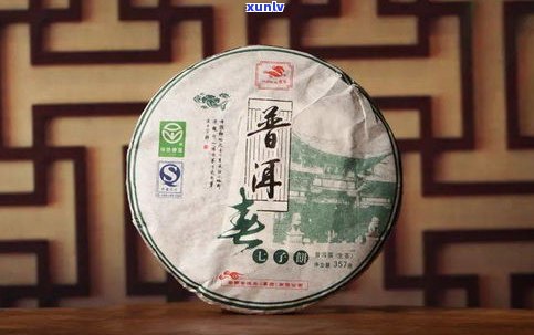 普洱茶茶文化知识大全：全面介绍与讲解