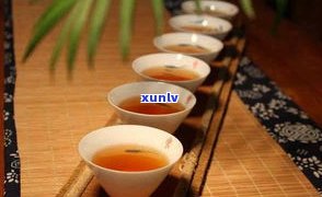 普洱茶茶文化知识大全：全面介绍与讲解