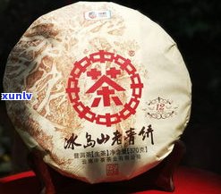 中茶普洱茶口感：深度解析与评价