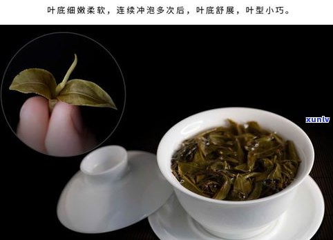 经常喝普洱茶生茶好吗？熟悉其好处与可能的副作用