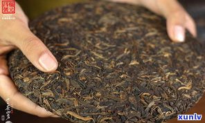 和天下普洱茶价格全解析：多少钱一斤/饼？熟茶、2013年新茶价格一览