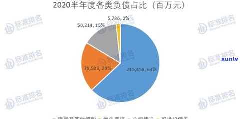 2023年中国负债情况：人数众多，无法偿还？解决方案解析