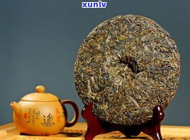 普知味7542：了解普洱茶的价格与收藏价值