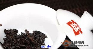 普之味普洱茶熟茶-普洱茶普知味