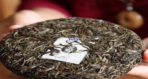 凤合堂普洱茶：生茶与熟茶的区别及推荐，为何价格亲民？