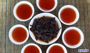 普洱茶紫鹃茶区别-普洱紫鹃茶大概价位