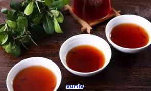 普洱茶紫鹃茶区别-普洱紫鹃茶大概价位