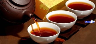 什么叫普洱中期茶？了解其特点与茶树的影响