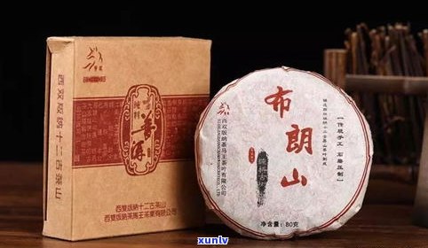 中期普洱茶特点：独特口感与陈化过程解析