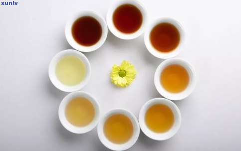 普洱生茶能否有效降低血脂？对脂肪肝有帮助吗？与熟茶相比哪种效果更好？