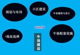 解决负债50万的方法：全面解析及应对策略