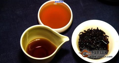 哪种普洱茶好喝？不同品种、口感各有千秋，快来挑选你的最爱！