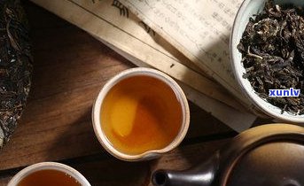 哪种普洱茶好喝？不同品种、口感各有千秋，快来挑选你的最爱！