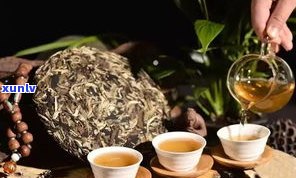 普洱茶里面的茶子能吃吗？是否有毒？看图、视频了解真相！