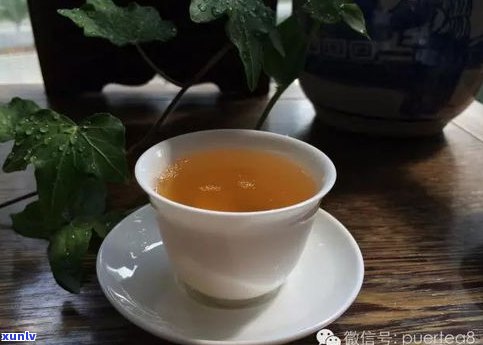 普洱茶里面的茶子-普洱茶里面的茶子是什么