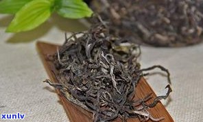 普洱茶中的美人茶：品种、种类与品牌全解析