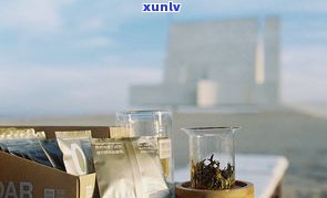 哲思茶业：探秘秘境森林，品鉴云南古茶坊