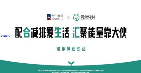 云南哲思号：哲思茶业、普洱价格与昆明哲思堂企业营销策划有限公司介绍及茶叶评价