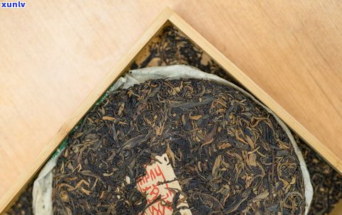 普洱茶苦味重：哪个山的茶？探究普洱茶特苦之处与最苦品种，解读普洱茶味苦特性