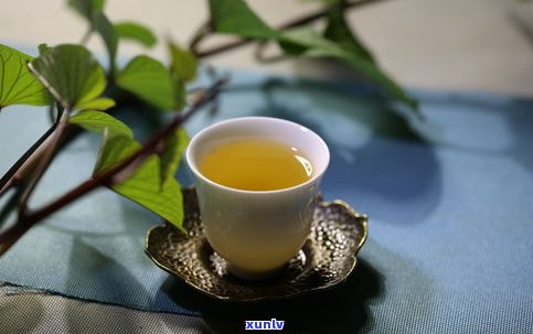 猫耳朵是普洱茶哪个山头的代表性品种？特点、价格全解析