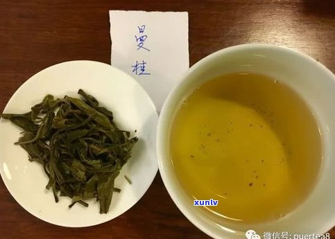 猫耳朵普洱茶夏茶-猫耳朵 普洱茶