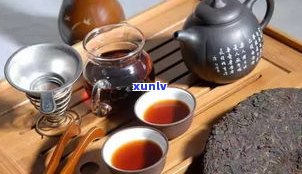 与普洱茶相似的茶：品种、特点及比较