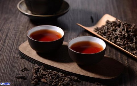 与普洱茶相似的茶：品种、特点及比较