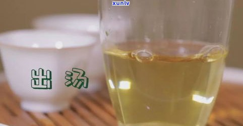 与普洱茶相似的茶：品种、特点及比较