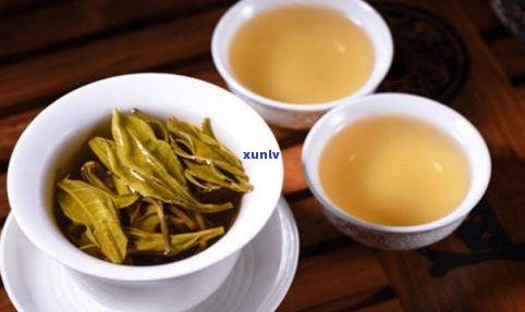 和普洱相似的茶是什么茶？探讨相似茶叶及其特点