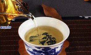 和普洱相似的茶是什么茶？探讨相似茶叶及其特点