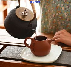 与普洱茶相似的茶-与普洱茶相似的茶叶