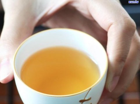与普洱茶相似的茶-与普洱茶相似的茶叶