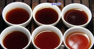 探究普洱散茶的独特品质特点