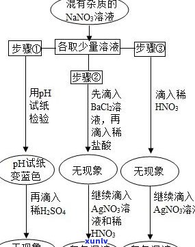 探究普洱茶内含物质：详细解析其组成与成分