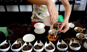 天赐普洱世界茶源：探秘中国茶文化的起源地