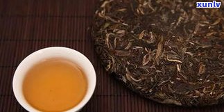 普洱散茶属于什么茶类？详解其定义与分类
