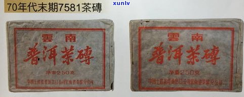 全面解析：普洱茶沱茶与茶饼的区别及优劣比较