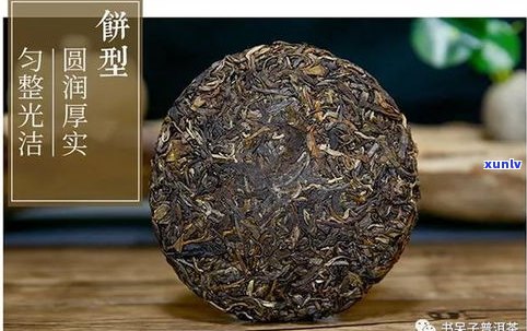 全面解析：普洱茶沱茶与茶饼的区别及优劣比较