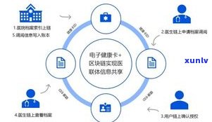 负债20万：应对策略与解决方案