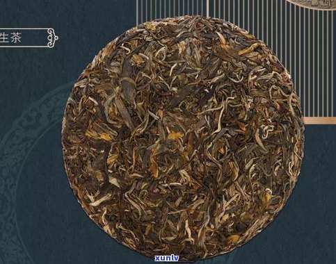普洱茶为何以茶饼形式存在？探究其历史与制作工艺